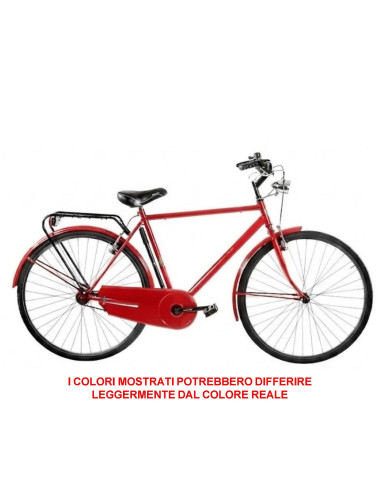 BICI MISURA 28 DA UOMO LINEA OLANDA BICICLETTA CITY BIKE SENZA CAMBIO 1V COMPLETA DI ACCESSORI CON LUCI A LED