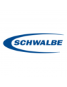 SCHWALBE