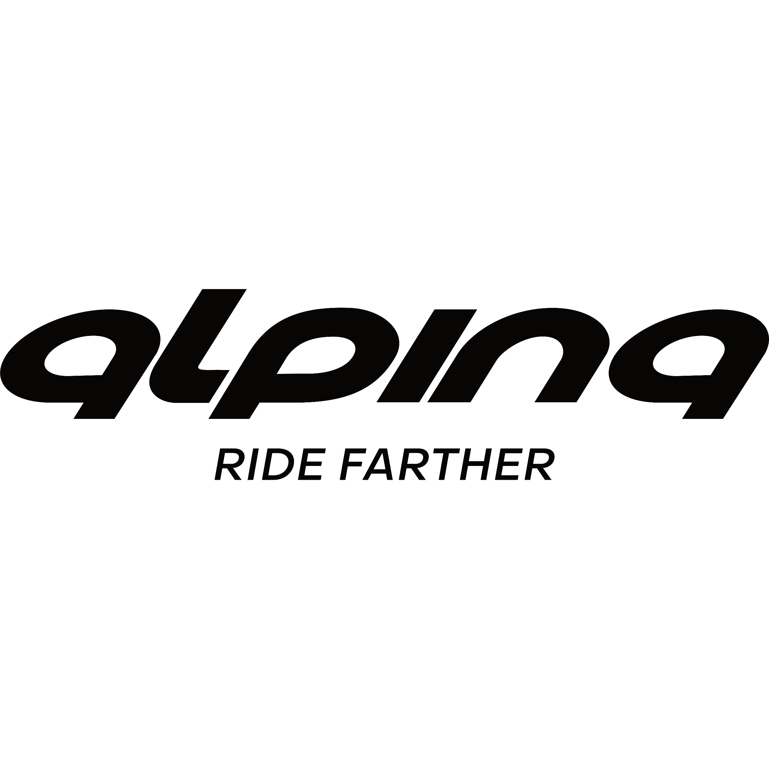 ALPINA RAGGI